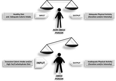 The Complex Interactions Between Obesity, Metabolism and the Brain